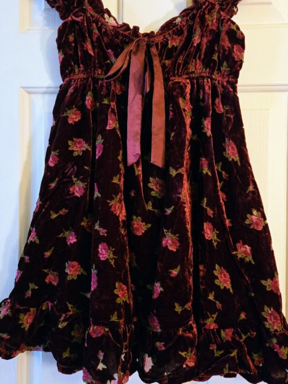 Altar'd State Wine and Pink Floral Velvet Mini Dress